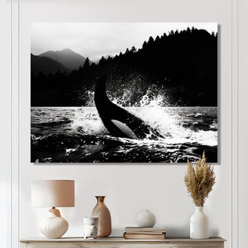 Orca Splashing In The Water Monochrome - Coastal Animal Framed Canvas Art